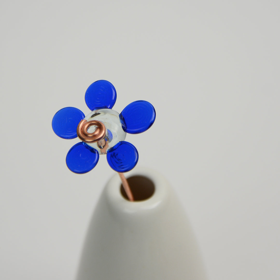 Navy Daisy, Single Stem