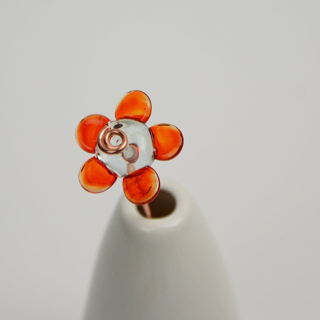 Orange Daisy, Single Stem
