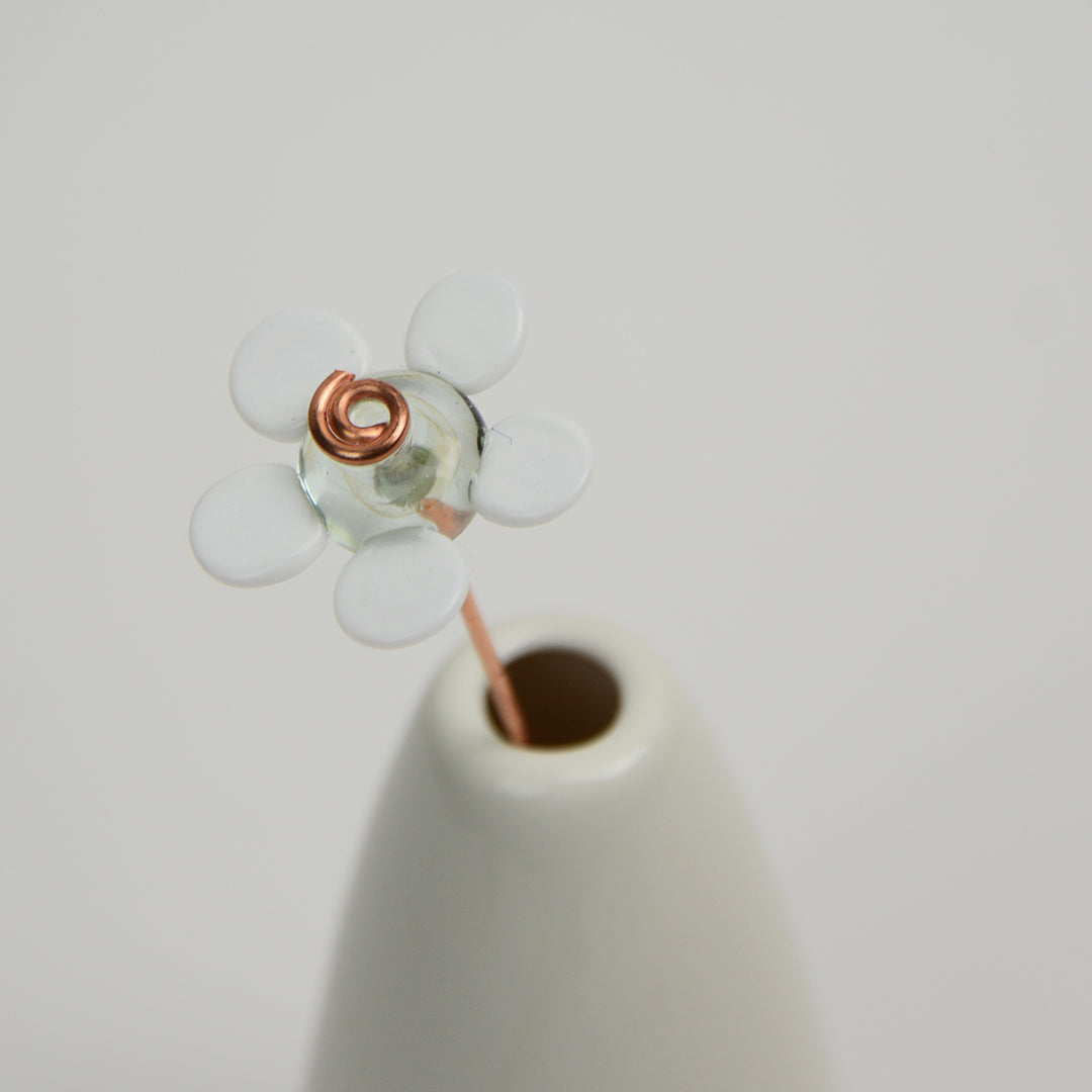 White Daisy, Single Stem