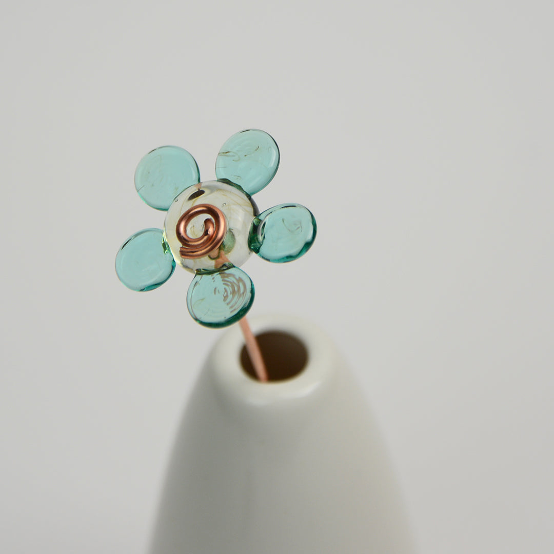 Pale Teal Daisy, Single Stem