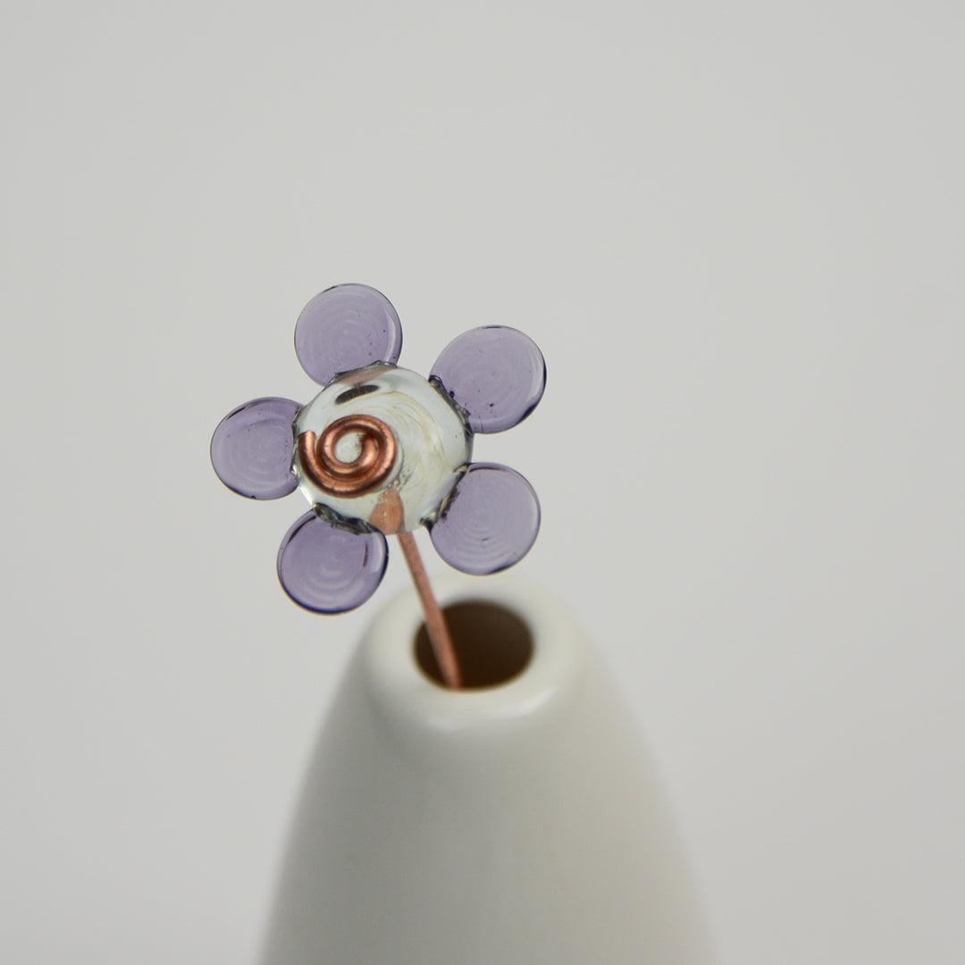 Violet Daisy, Single Stem