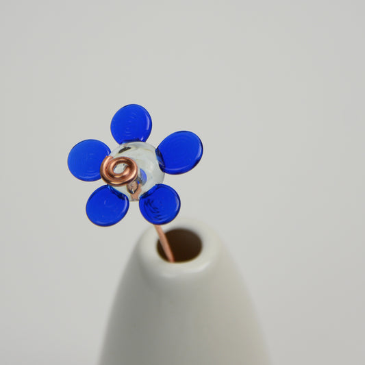 Navy Daisy, Single Stem