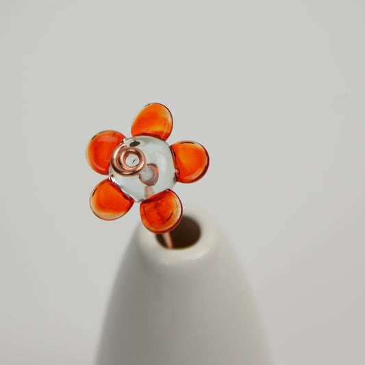 Orange Daisy, Single Stem