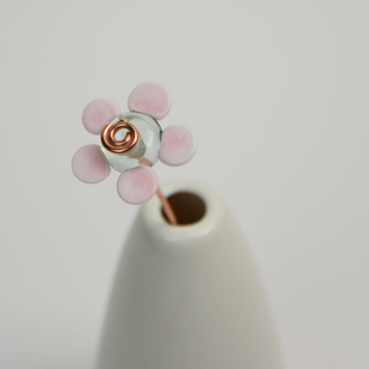 Solid Pink Daisy, Single Stem