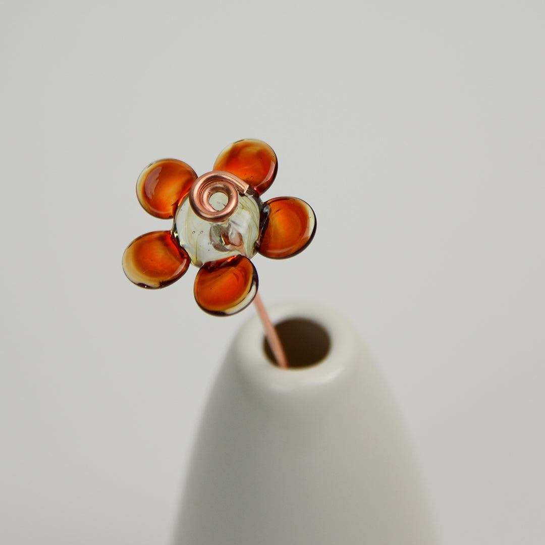 Red Daisy, Single Stem