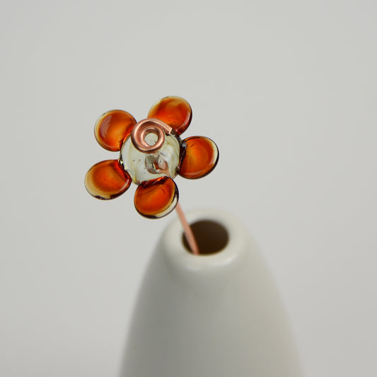Red Daisy, Single Stem