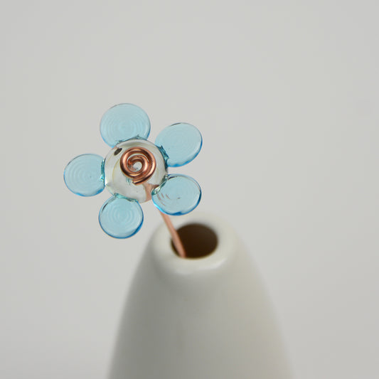 Turquoise Daisy, Single Stem