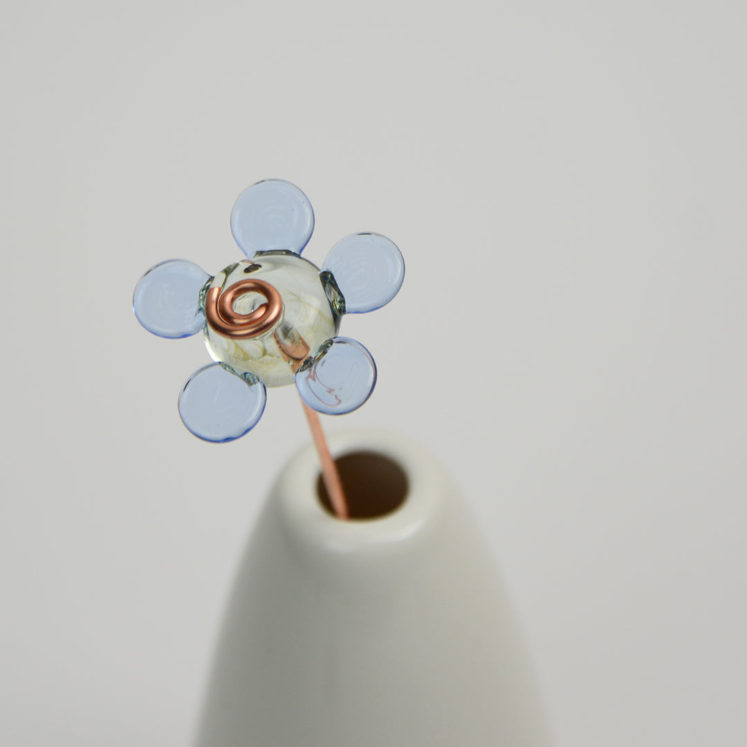 Light Blue Daisy, Single Stem