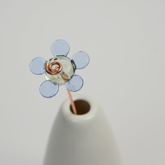 Light Blue Daisy, Single Stem