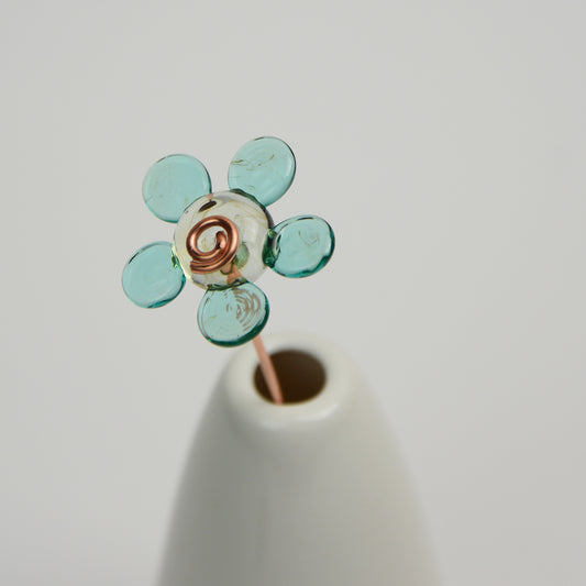 Pale Teal Daisy, Single Stem