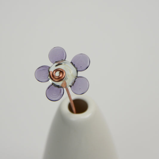 Violet Daisy, Single Stem
