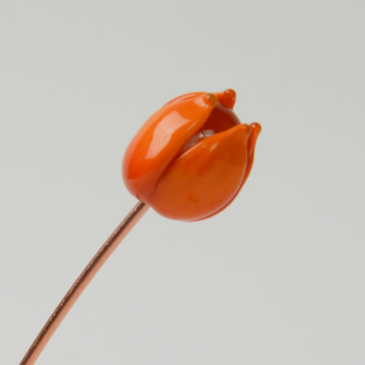 Orange Tulip, Single Stem