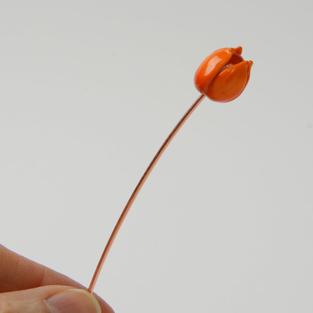 Orange Tulip, Single Stem