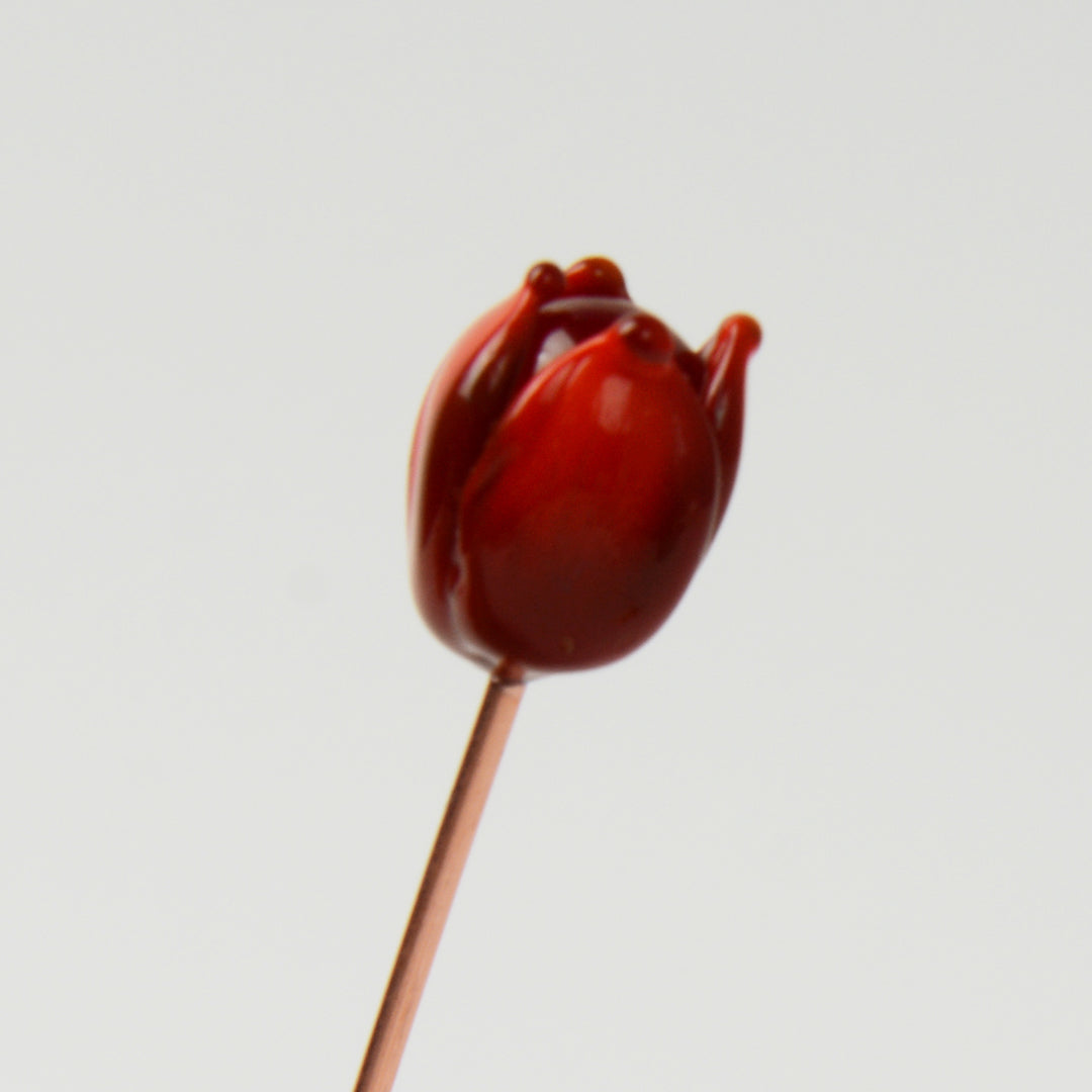 Red Tulip, Single Stem