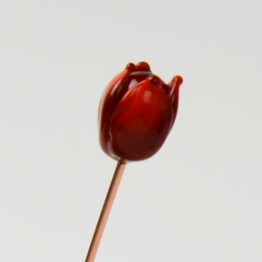 Red Tulip, Single Stem