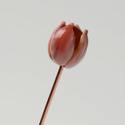 Coral Tulip, Single Stem