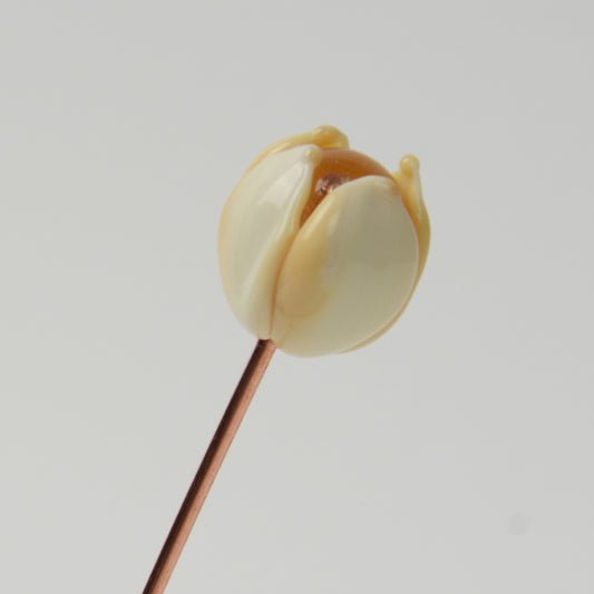 Ivory Tulip, Single Stem