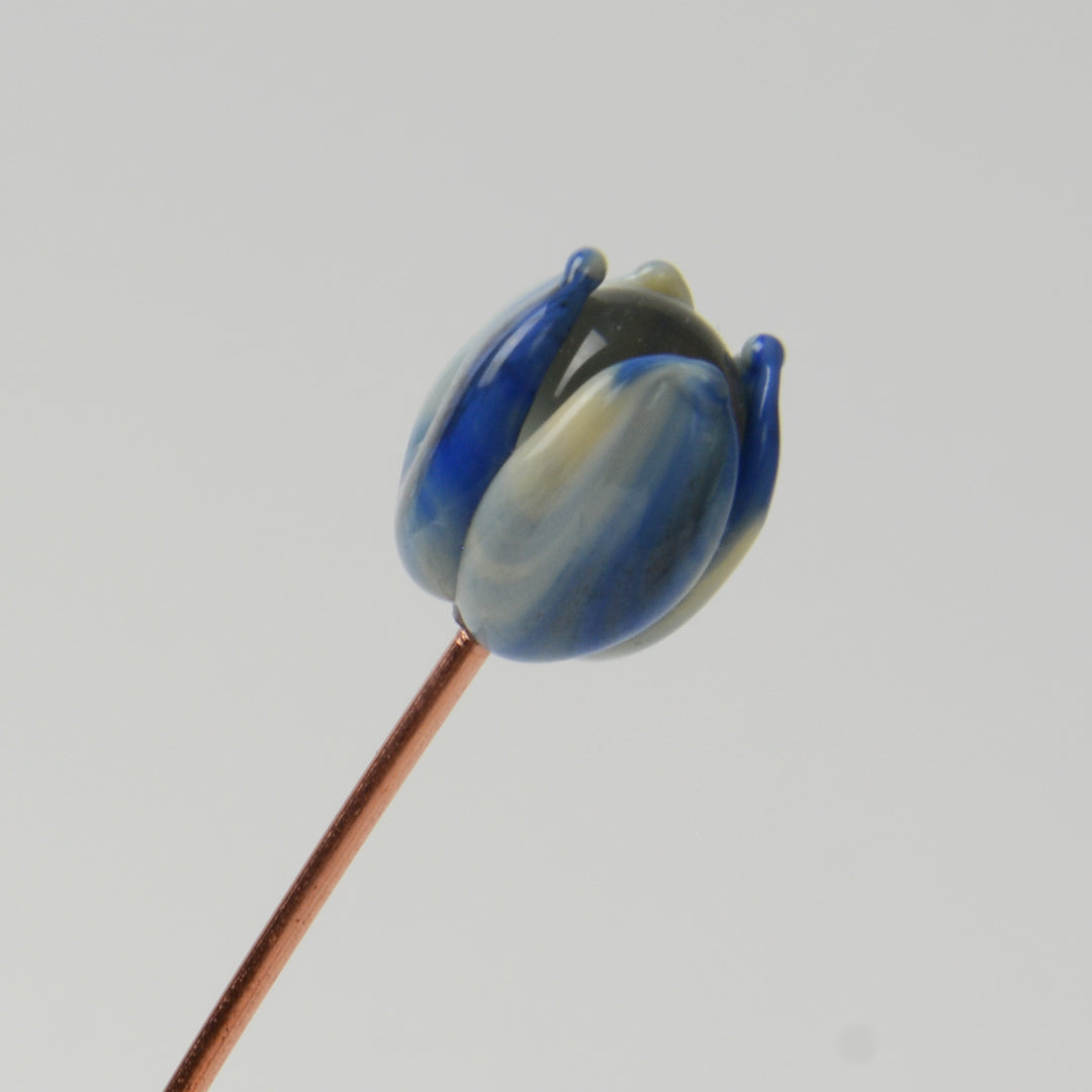 Streaky Blue Tulip, Single Stem