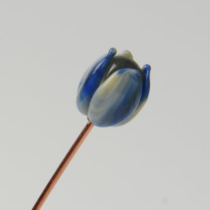 Streaky Blue Tulip, Single Stem