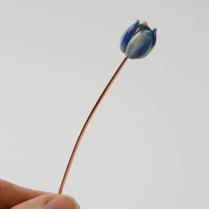 Streaky Blue Tulip, Single Stem