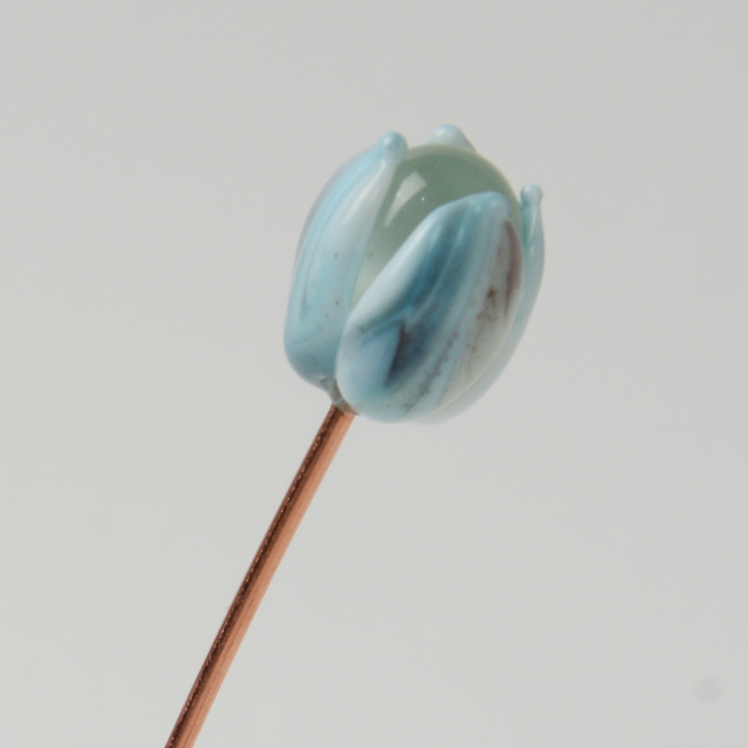 Streaky Light Blue Tulip, Single Stem