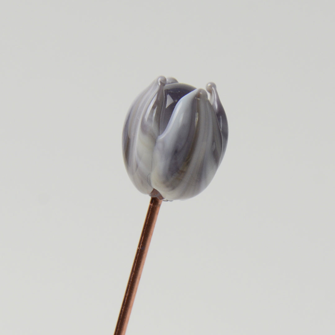 Streaky Purple Tulip, Single Stem