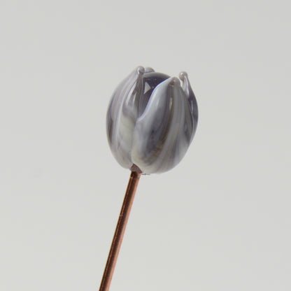Streaky Purple Tulip, Single Stem