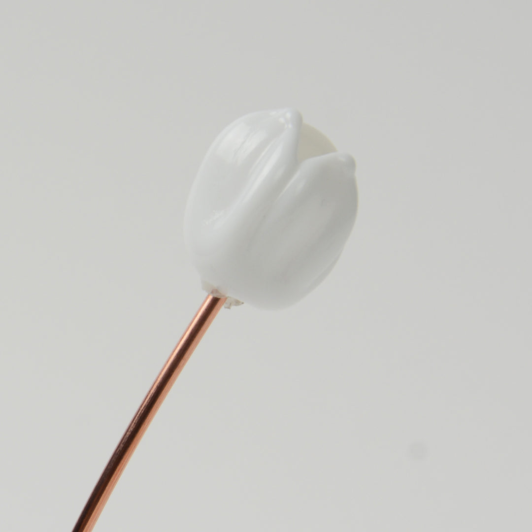 White Tulip, Single Stem